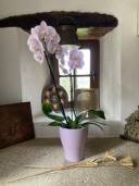 5-vignette-petite-fenetre-RDC